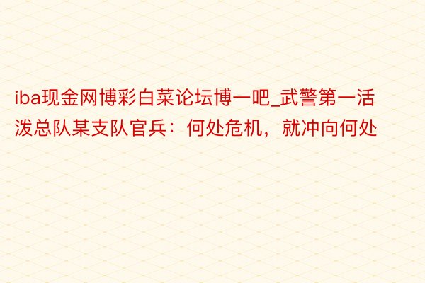 iba现金网博彩白菜论坛博一吧_武警第一活泼总队某支队官兵：何处危机，就冲向何处